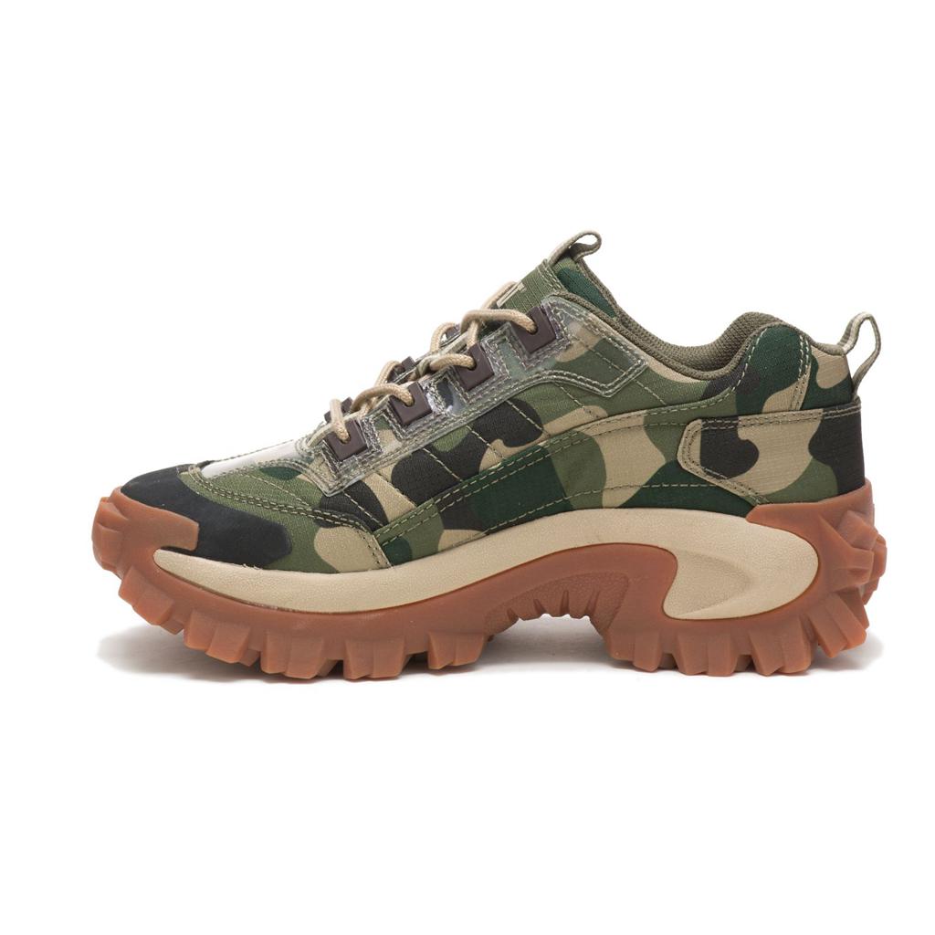 Caterpillar Intruder Casual Skor Dam Camo  Sverige |  36475FKVH