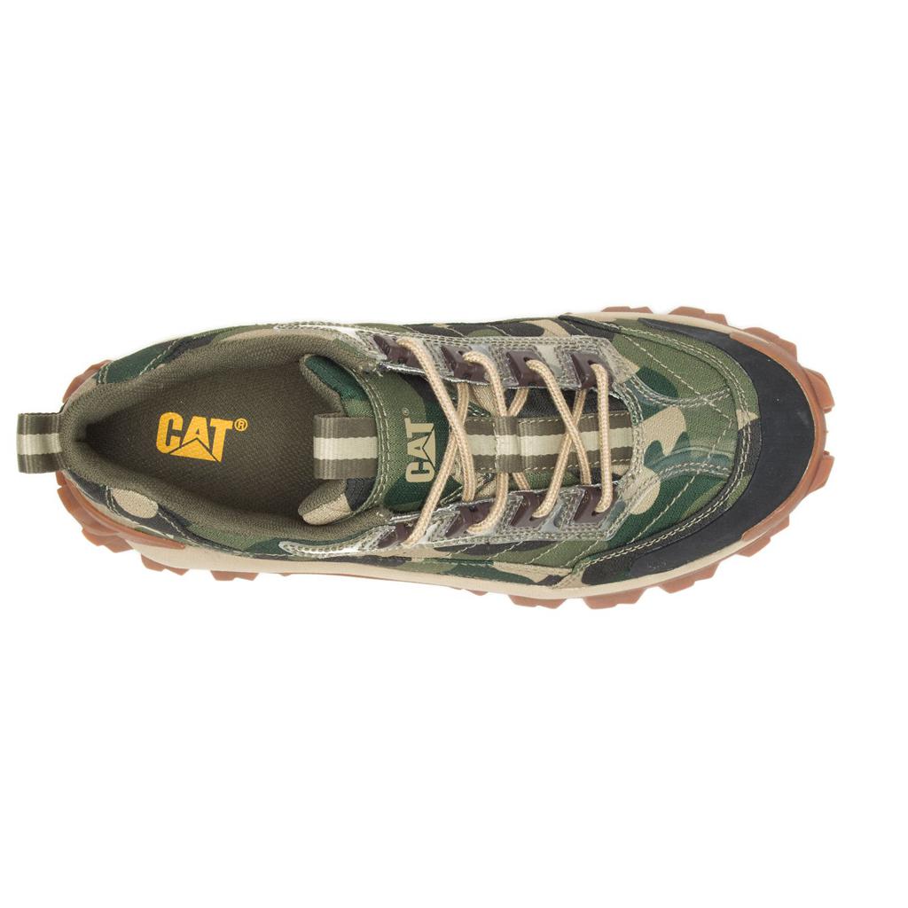 Caterpillar Intruder Casual Skor Dam Camo  Sverige |  36475FKVH