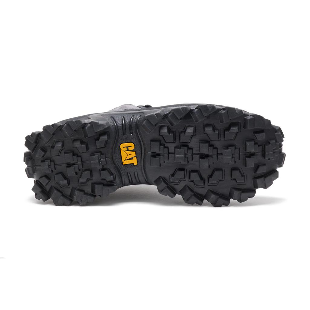 Caterpillar Intruder Sneakers Herr Mörk  Sverige |  24830RBYI