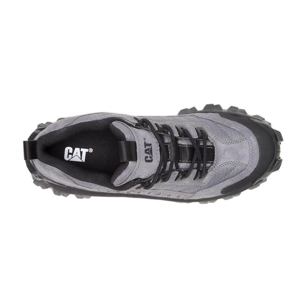 Caterpillar Intruder Sneakers Herr Mörk  Sverige |  24830RBYI