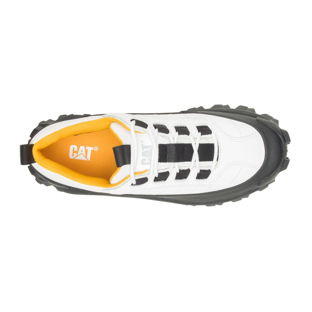 Caterpillar Intruder Vattentäta Galosh Sneakers Herr Vita  Sverige |  67813ZQDF